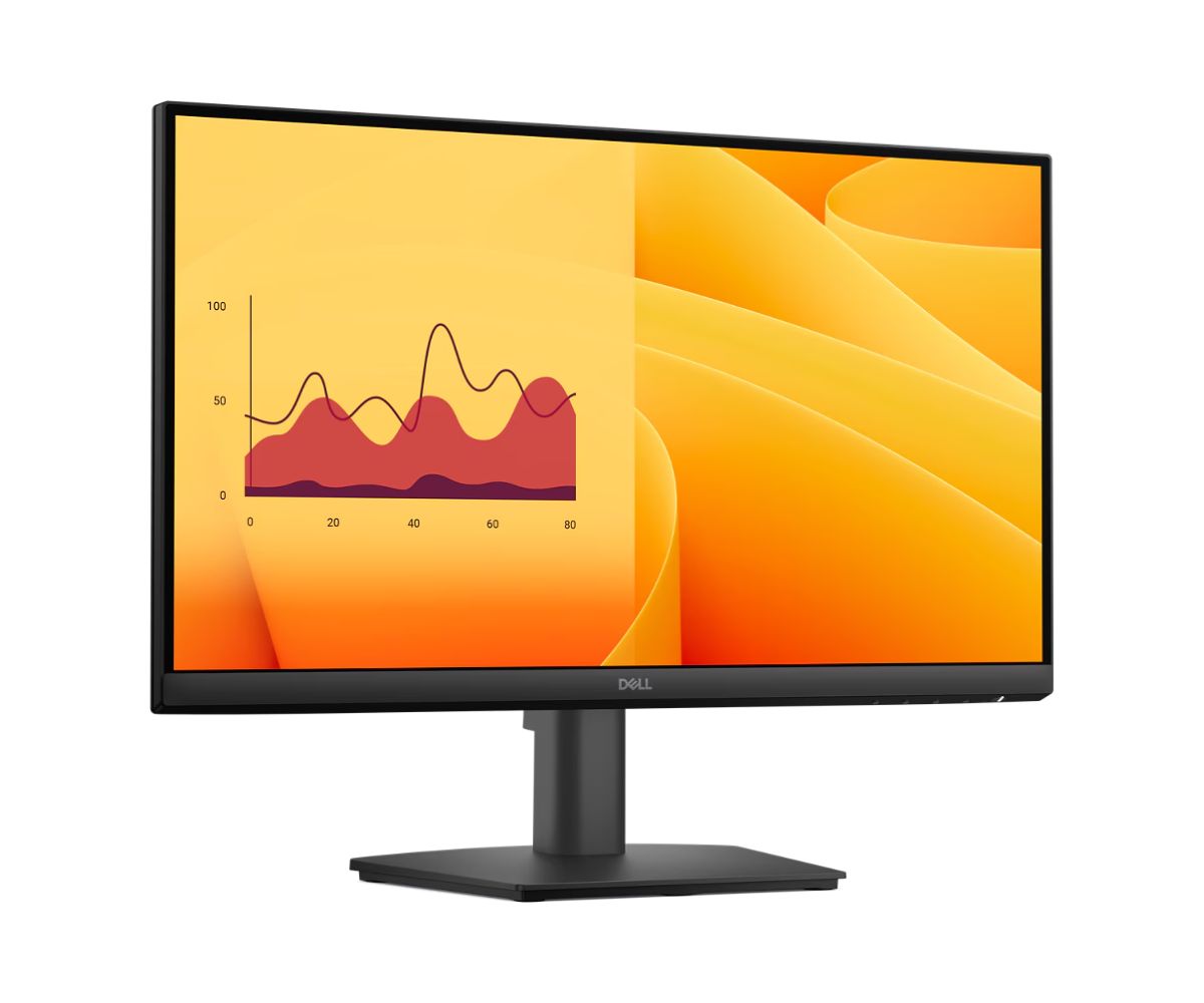 Dell Pro 22 Monitor - E2225HM, 54.48cm (21.45”)