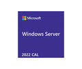 戴尔 Microsoft_WS_2022_5CALs_用户