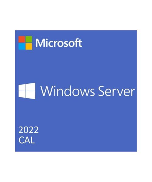 1-pack of Windows Server 2022/2019 User CALs (STD or DC) Cus Kit